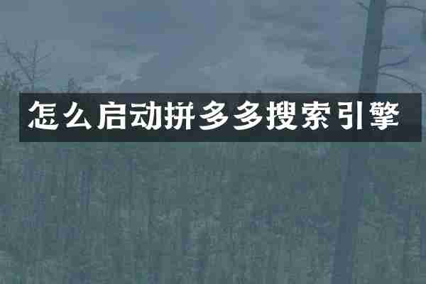 怎么启动拼多多搜索引擎