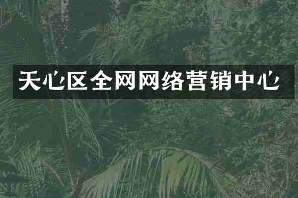 天心区全网网络营销中心