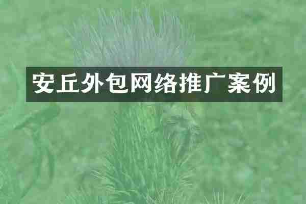 安丘外包网络推广案例