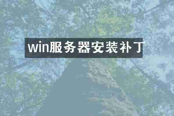 win服务器安装补丁