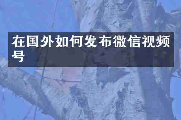 在国外如何发布微信视频号
