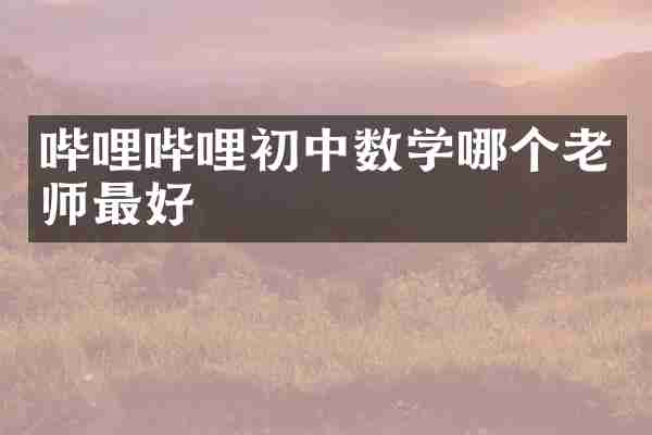 哔哩哔哩初中数学哪个老师最好