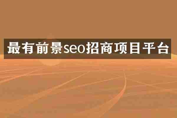 最有前景seo招商项目平台