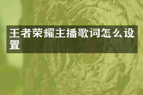 王者荣耀主播歌词怎么设置