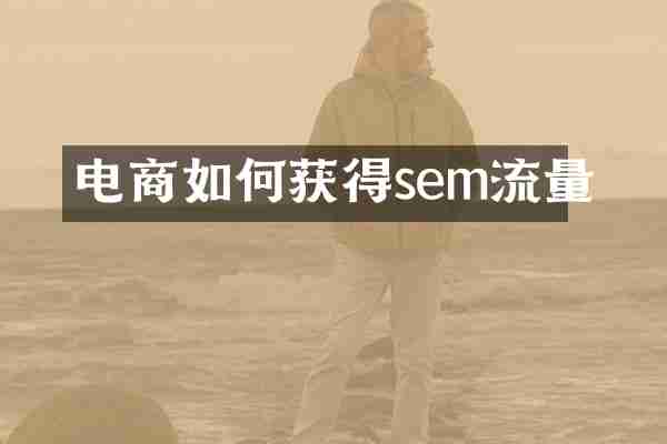 电商如何获得sem流量