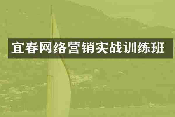 宜春网络营销实战训练班