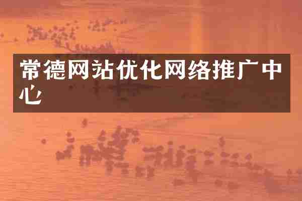 常德网站优化网络推广中心