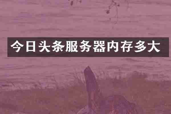 今日头条服务器内存多大