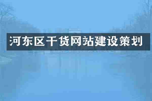 河东区干货网站建设策划