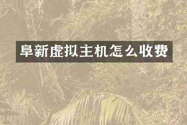 阜新虚拟主机怎么收费