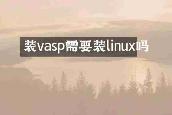装vasp需要装linux吗