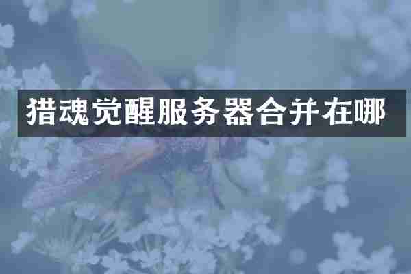 猎魂觉醒服务器合并在哪