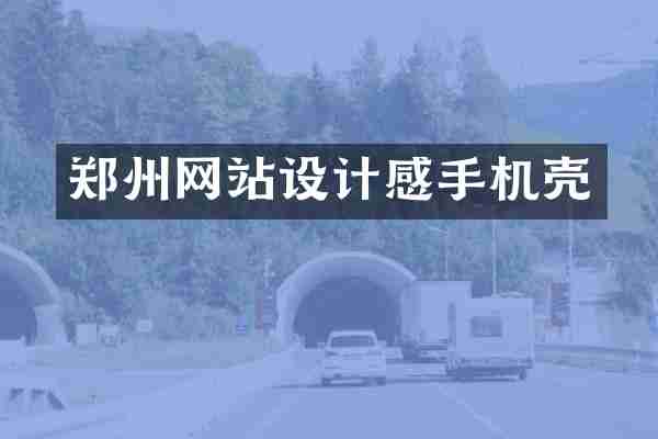 郑州网站设计感手机壳