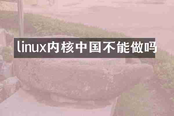 linux内核中国不能做吗