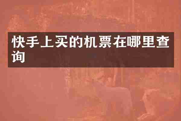 快手上买的机票在哪里查询