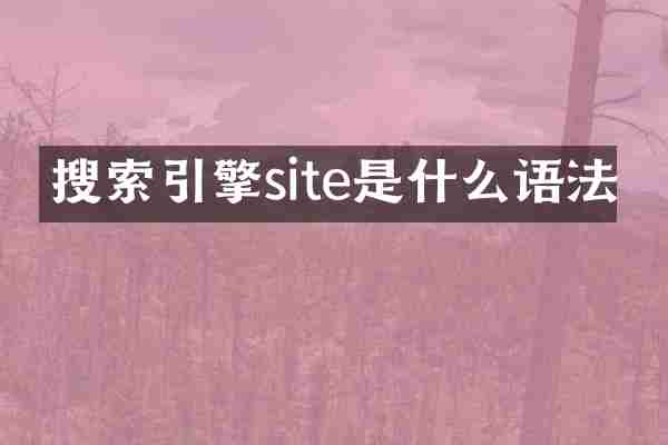 搜索引擎site是什么语法