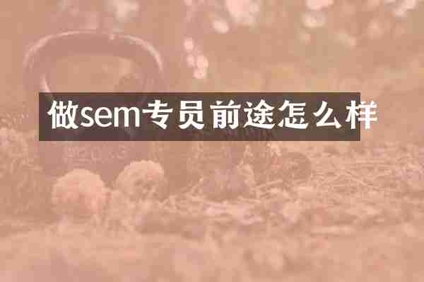 做sem专员前途怎么样