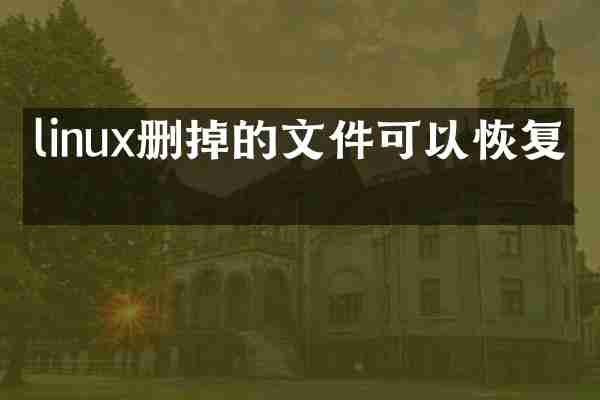 linux删掉的文件可以恢复吗