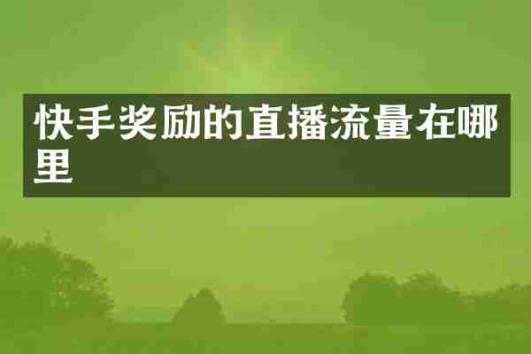快手奖励的直播流量在哪里