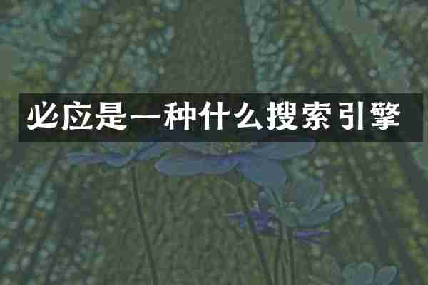 必应是一种什么搜索引擎