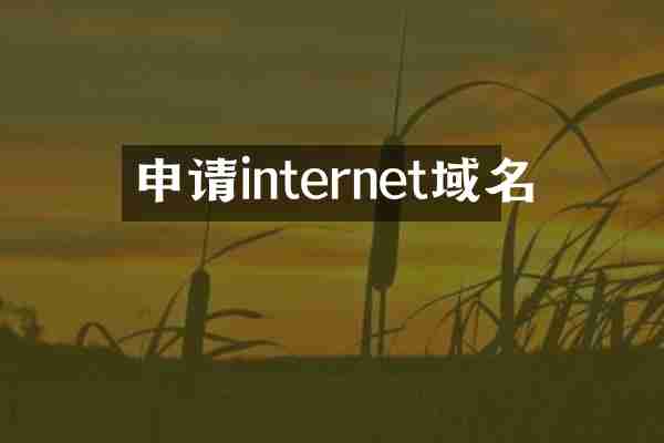 申请internet域名