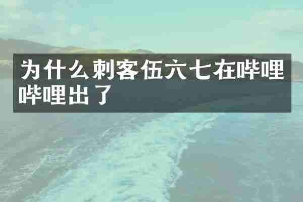 为什么刺客伍六七在哔哩哔哩出了