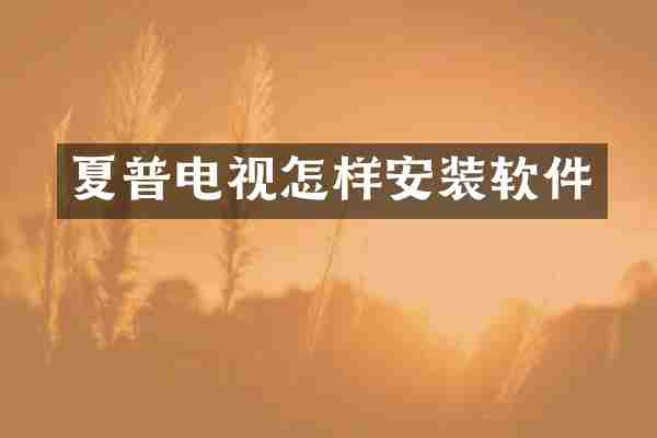 夏普电视怎样安装软件
