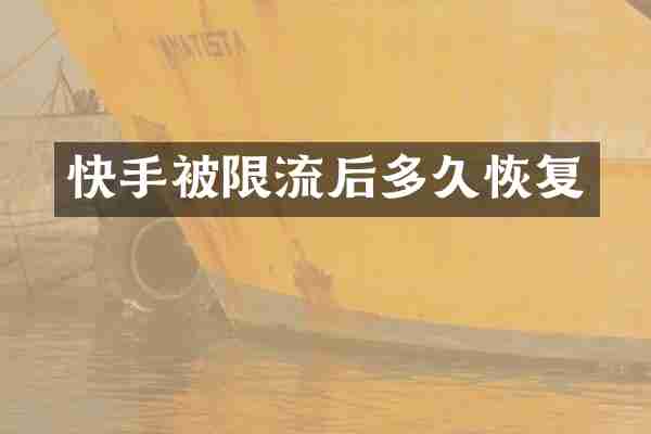 快手被限流后多久恢复