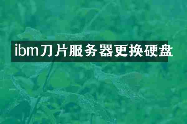 ibm刀片服务器更换硬盘