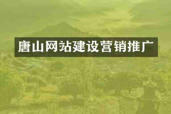 唐山网站建设营销推广
