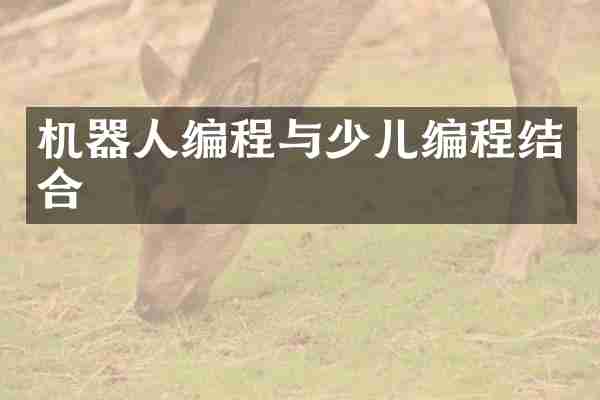 机器人编程与少儿编程结合