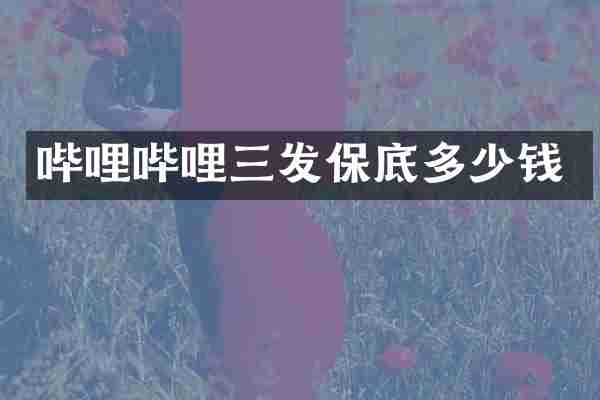 哔哩哔哩三发保底多少钱
