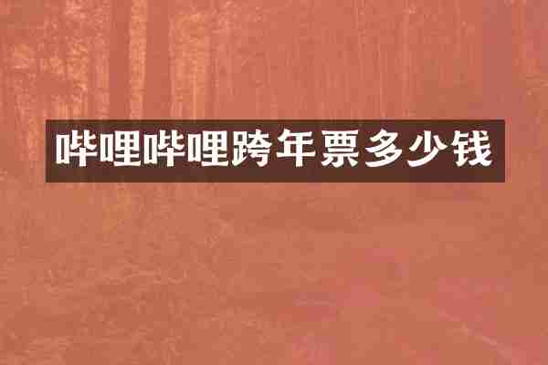 哔哩哔哩跨年票多少钱