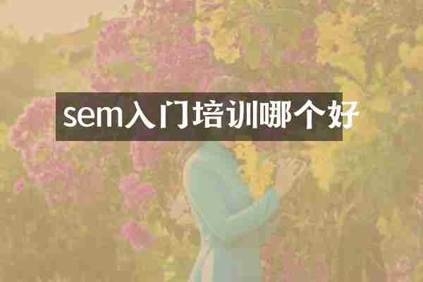 sem入门培训哪个好