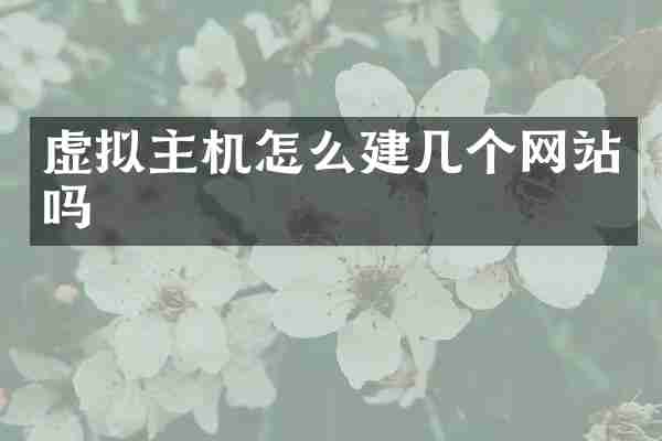 虚拟主机怎么建几个网站吗