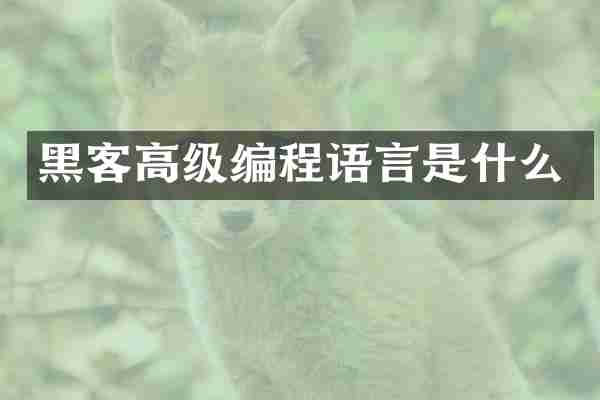 黑客高级编程语言是什么