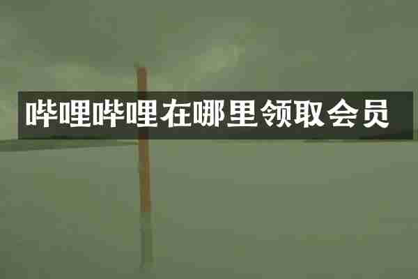 哔哩哔哩在哪里领取会员