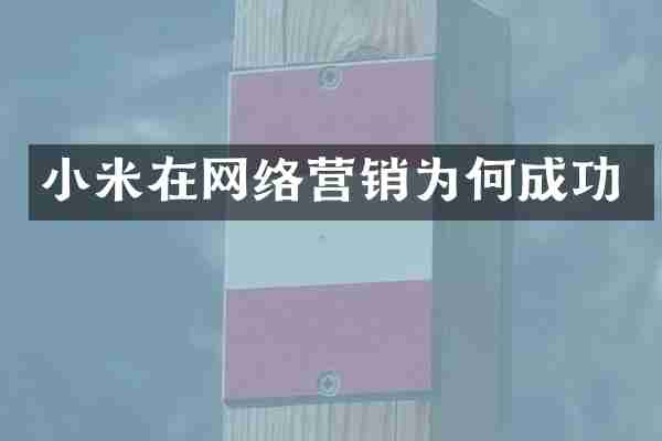 小米在网络营销为何成功