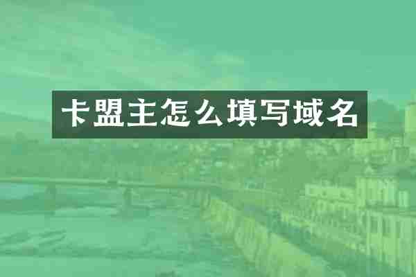 卡盟主怎么填写域名