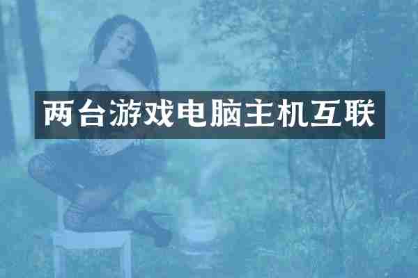 两台游戏电脑主机互联