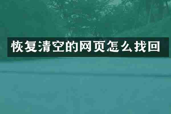 恢复清空的网页怎么找回