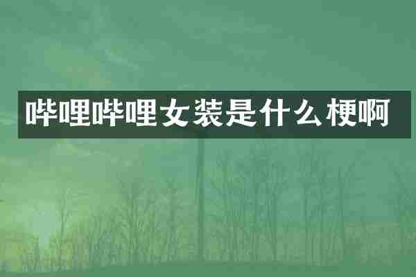 哔哩哔哩女装是什么梗啊