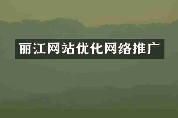 丽江网站优化网络推广