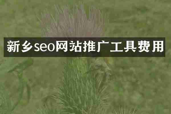 新乡seo网站推广工具费用