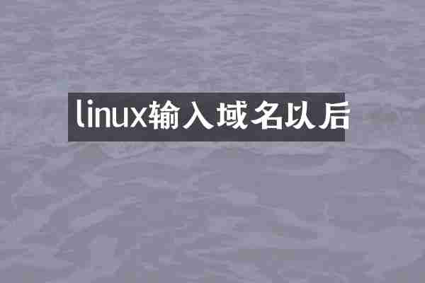 linux输入域名以后