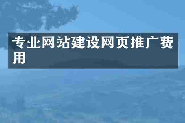 专业网站建设网页推广费用
