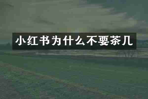 小红书为什么不要茶几