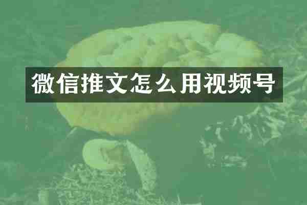 微信推文怎么用视频号