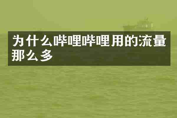 为什么哔哩哔哩用的流量那么多