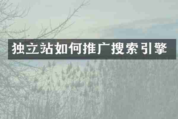 独立站如何推广搜索引擎
